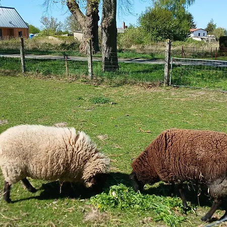 Sophienhof Lejlighed *